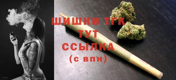 тгк Алексин