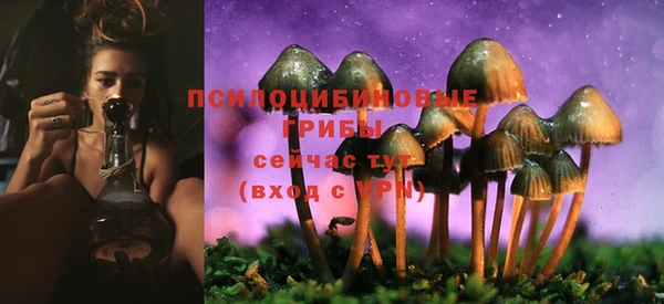 2c-b Алзамай