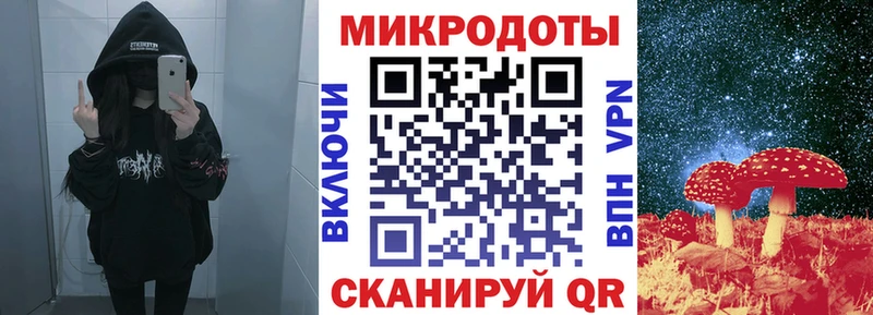 Галлюциногенные грибы Psilocybe  Билибино 